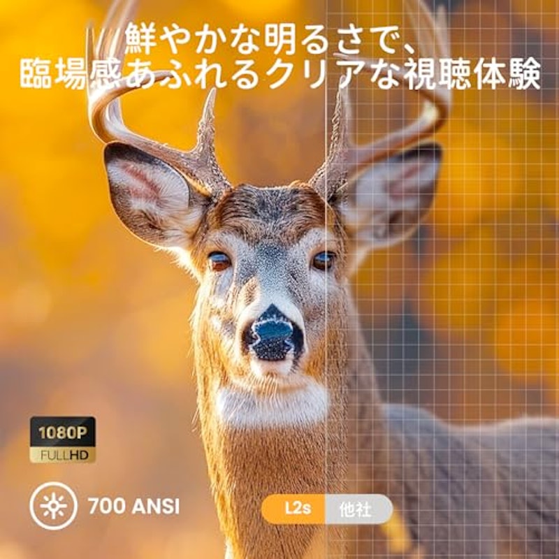 プロジェクター 2
