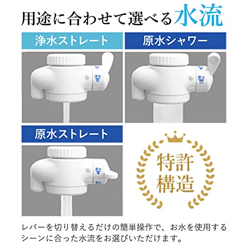 ビューク 8年タイプ 6