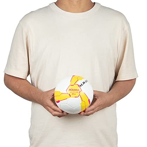 記念品用マスコットボール・サインボール（サッカー） 7