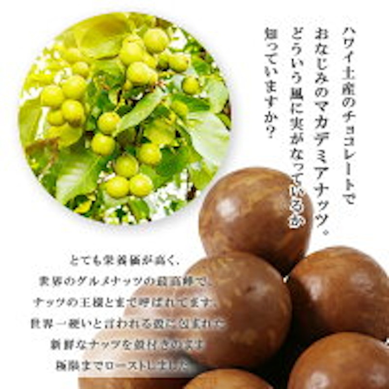 殻付きマカデミアナッツ 3