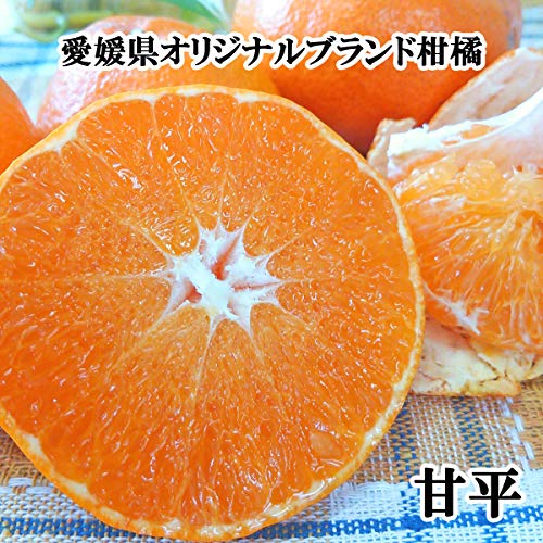 希望の島 甘平 訳あり 5