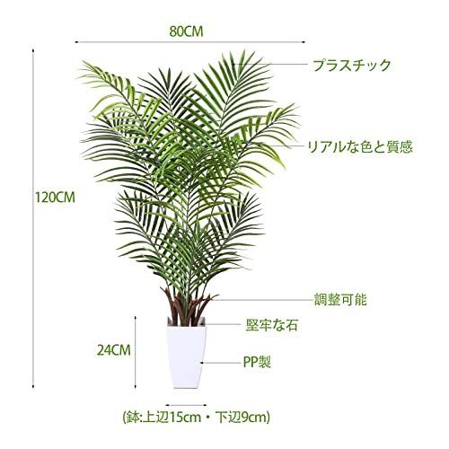 光触媒で加工された観葉植物のおすすめ人気ランキング【2026年5月