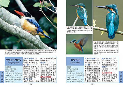 日本の野鳥図鑑等計5冊セット 野鳥図鑑のおすすめ人気ランキング【2025年】 | マイベスト