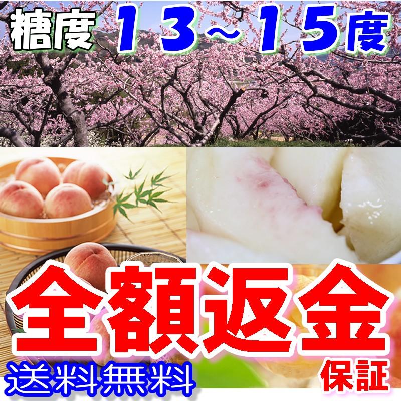 あら川の桃 1