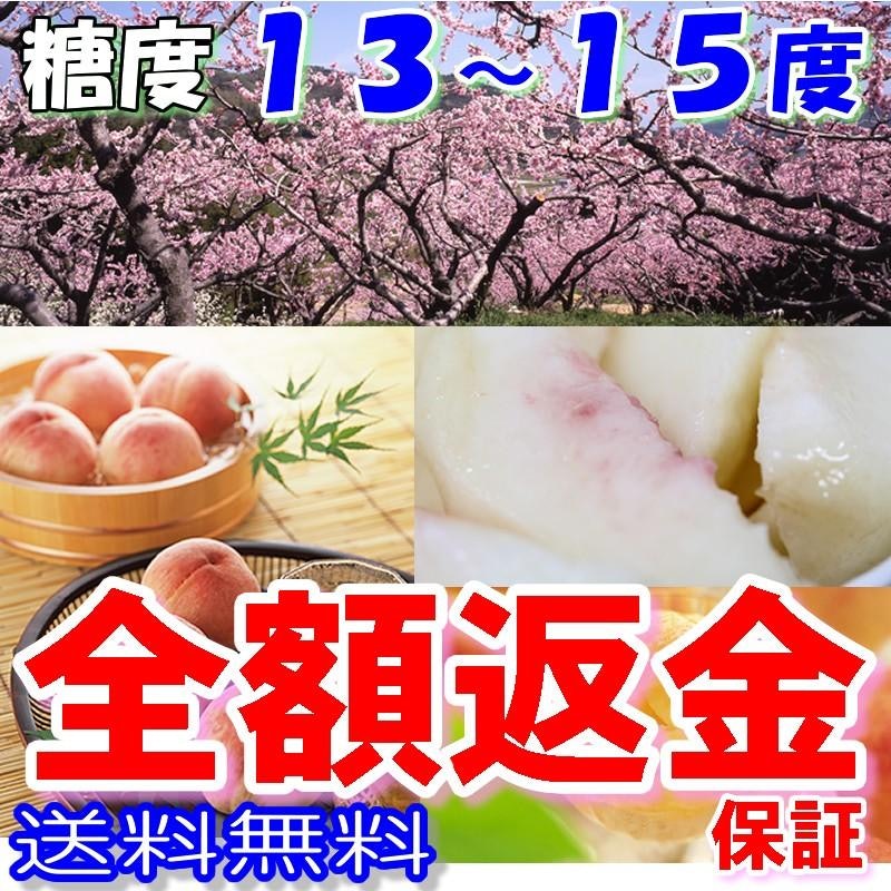 あら川の桃 1