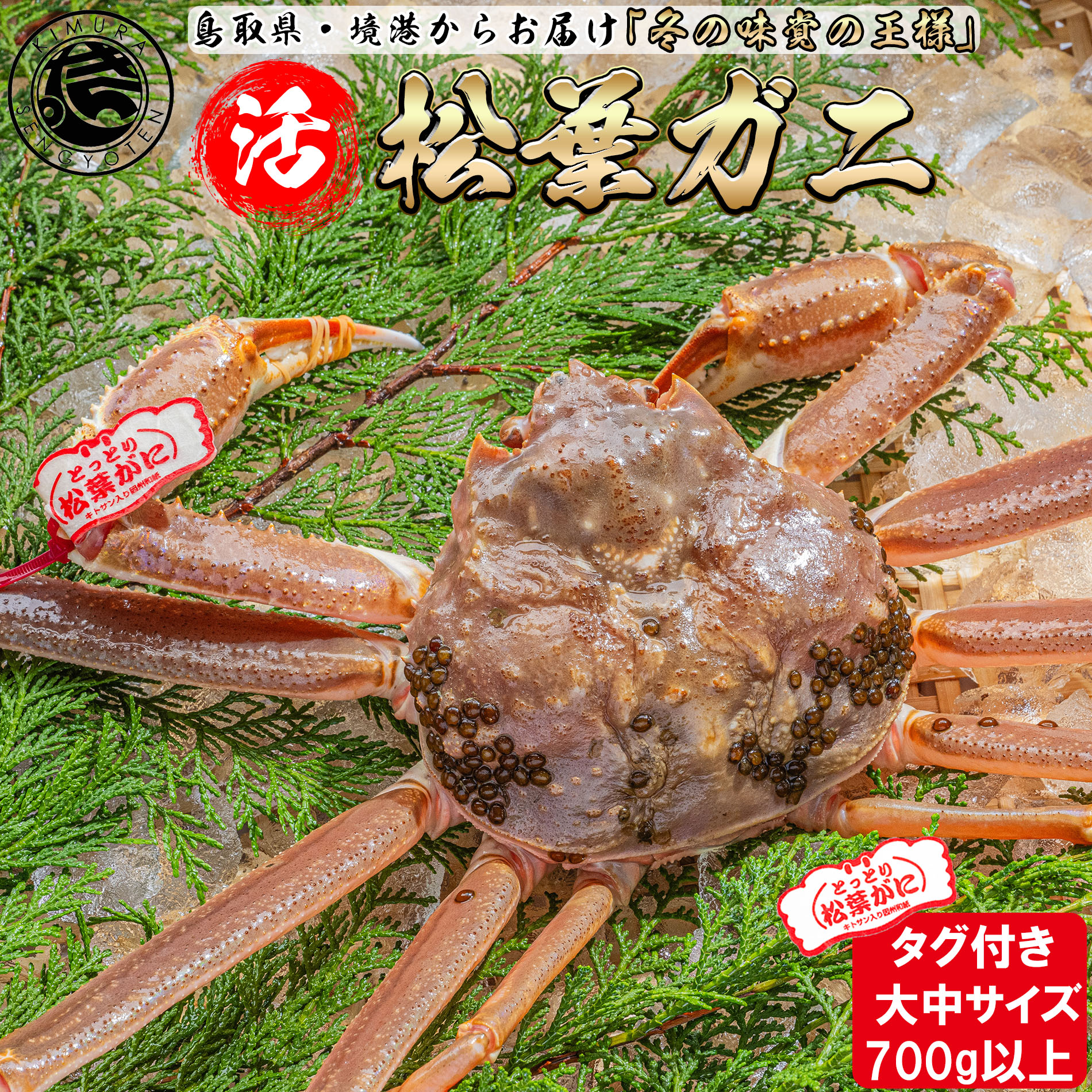 松葉ガニ通販のおすすめ人気ランキング【2026年5月】 4