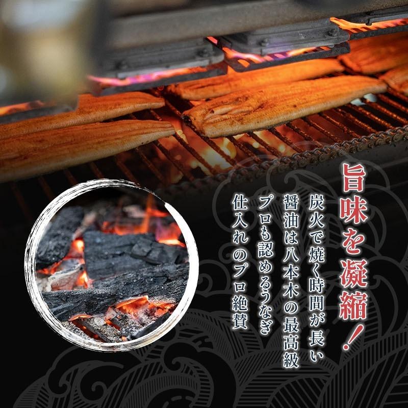 うなぎ蒲焼き 9