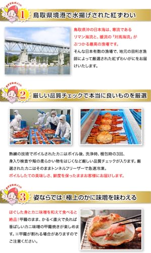浜茹で大型紅ずわいがに姿1杯 5