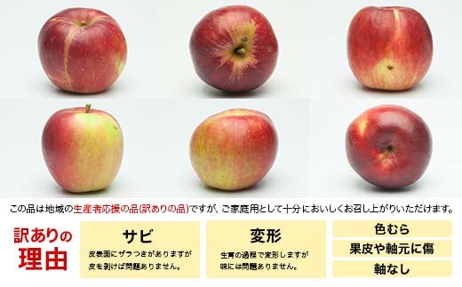ご家庭・加工用 山形県産 りんご 紅玉 4