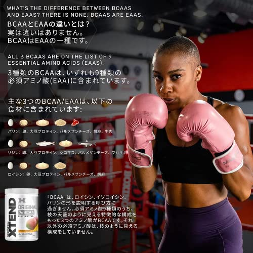 XTEND オリジナル  BCAA パウダー 4