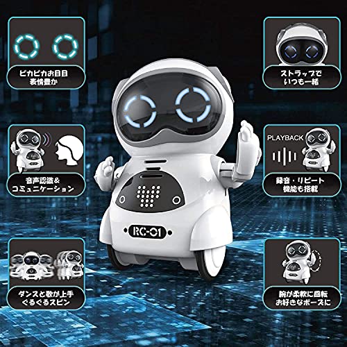 ポケットロボット 2
