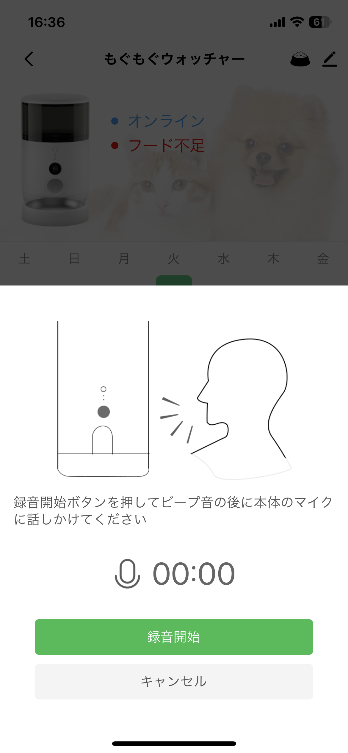 もぐもぐウォッチャー 14