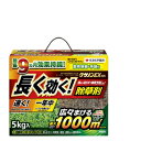 クサノンEX粒剤 1