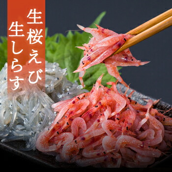 生桜えび 生しらすセット 1