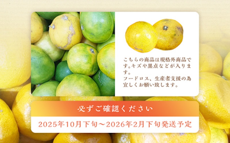 熊本市産みかん ご家庭用 3