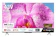 TCL JAPAN ELECTRONICS 4K液晶テレビ 1