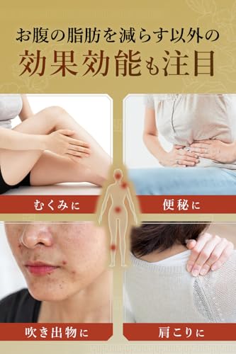 防風通聖散 貴秘薬 5