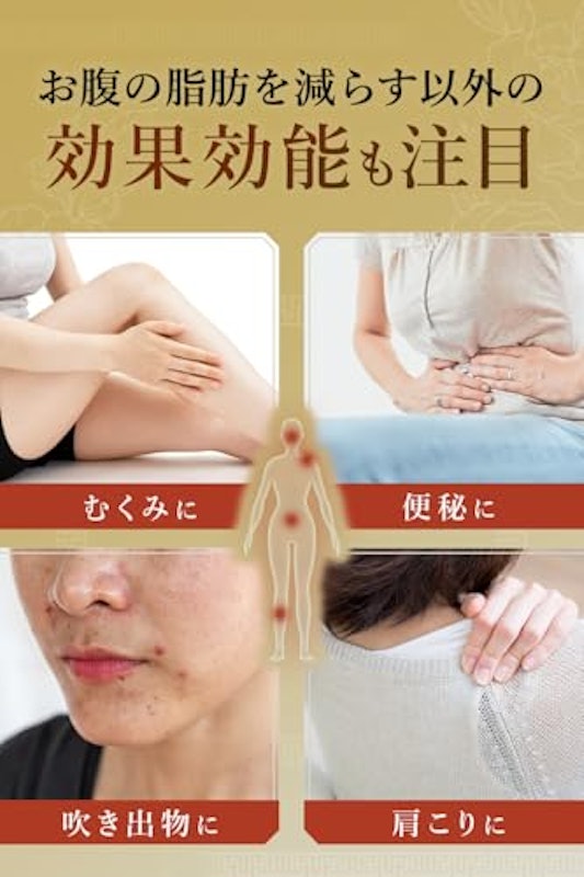 防風通聖散 貴秘薬 5