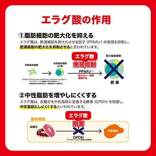 肥満気味の方の脂肪減少をサポートする エラグ酸 30日分 4