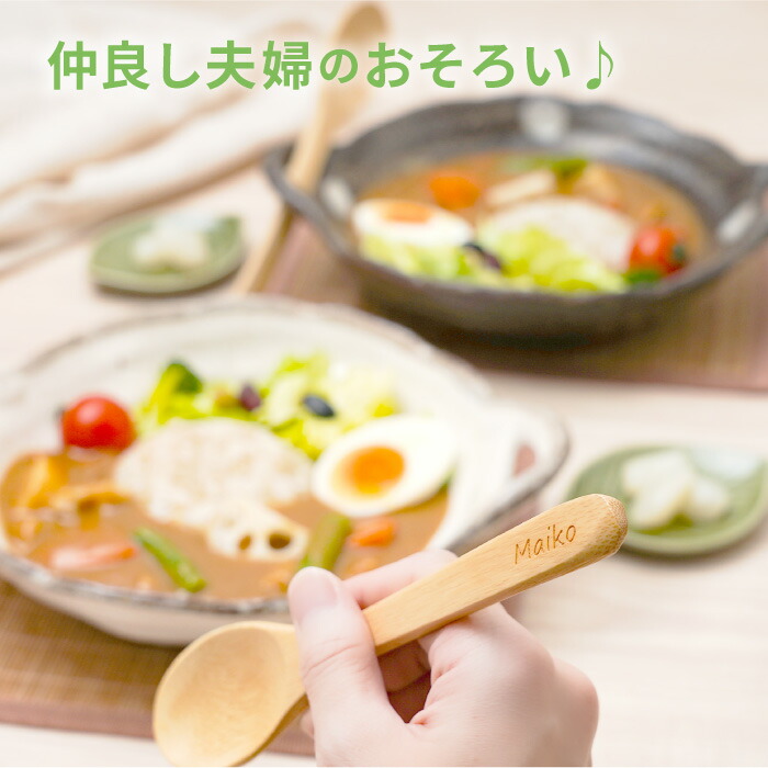 美濃焼 カレー皿セット 2