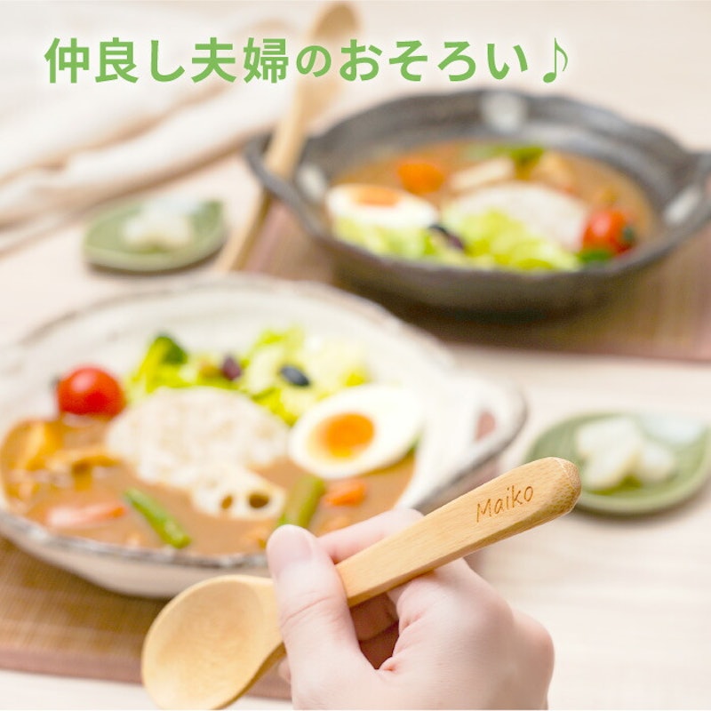 美濃焼 カレー皿セット 2