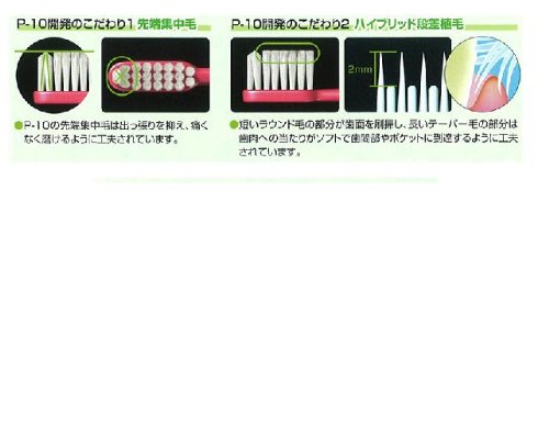 ルシェロ P-10 歯ブラシ 5本  3