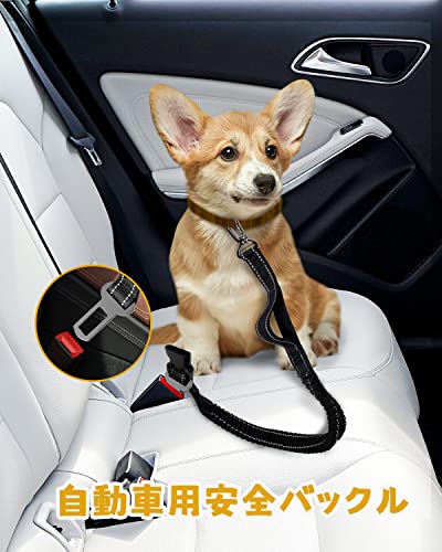 犬用リード 5