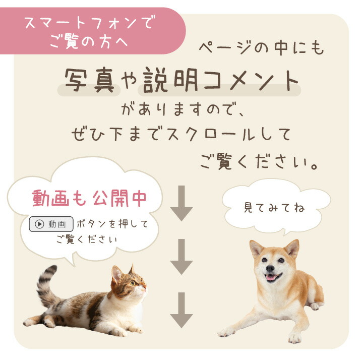 クリメイションハウス 虹の橋のおうち 2