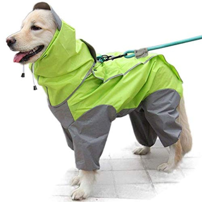 21年 犬用レインコートのおすすめ人気ランキング9選 Mybest 21年 犬用レインコートのおすすめ人気ランキング9選 Mybest