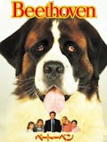 犬映画のおすすめ人気ランキング【2026年5月】 4