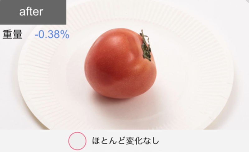 冷蔵庫 21