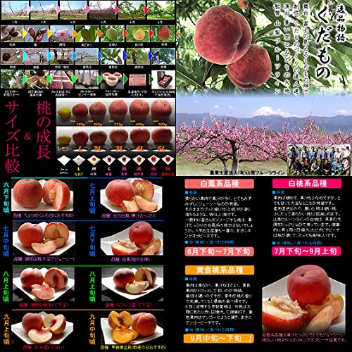 山梨県産桃 3