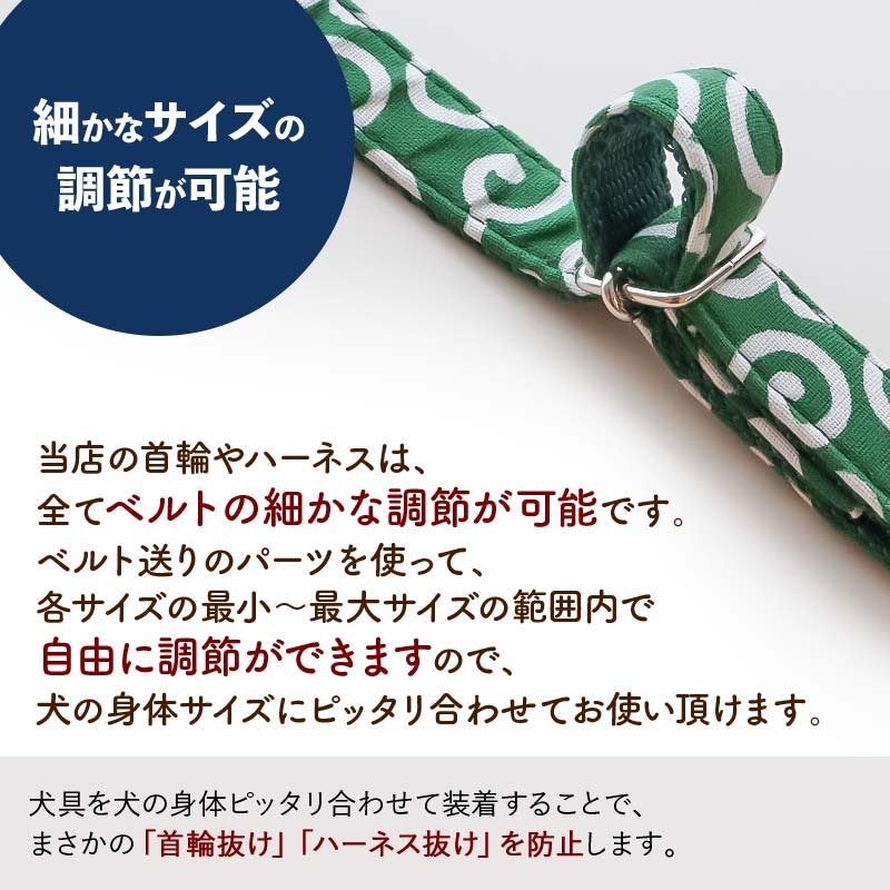 ダブルリング バックル首輪 4