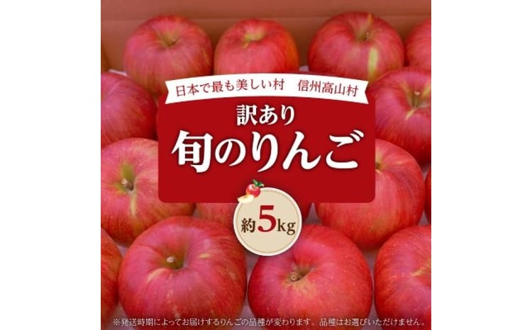 信州高山村 旬のりんご 1