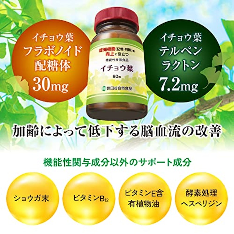 イチョウ葉 3
