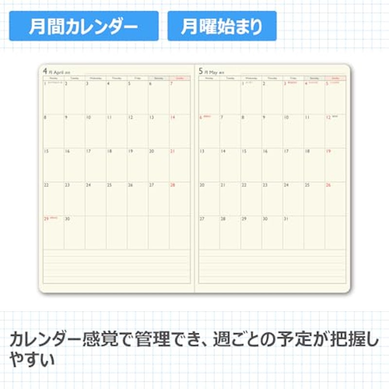 スコラライト 3