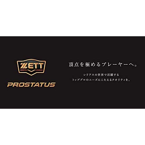 プロステイタス 硬式キャッチャーミット 6