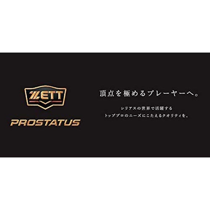 プロステイタス 硬式キャッチャーミット 6