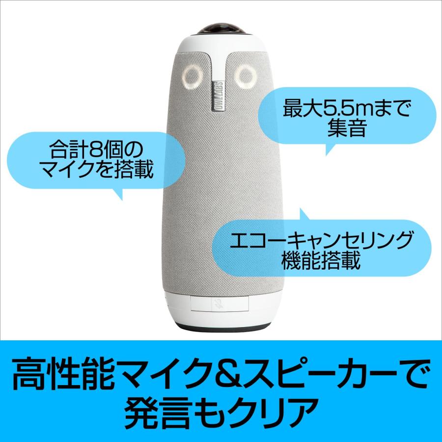 Meeting Owl 3 4