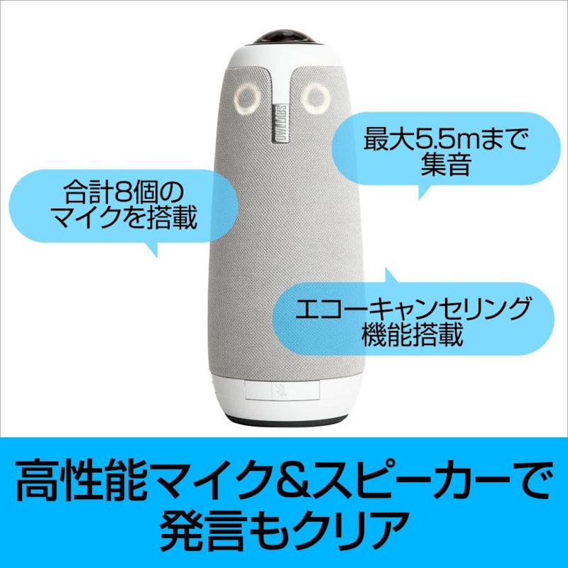 Meeting Owl 3 4