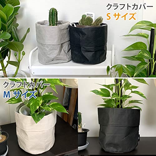 プランターカバー 4