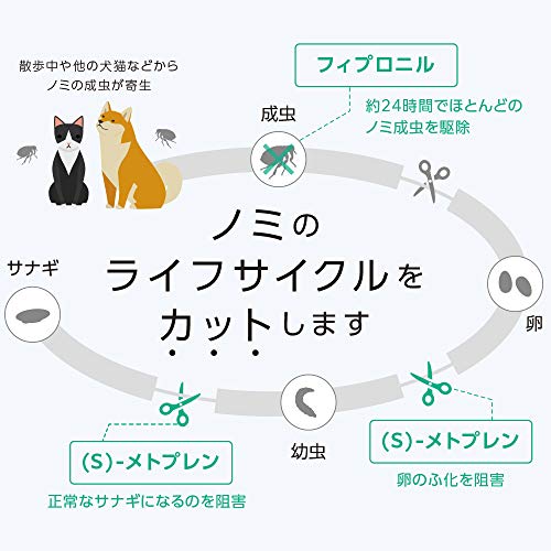 2022年】ノミ駆除・予防剤のおすすめ人気ランキング35選 | mybest