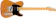 Fender Musical Instruments AMERICAN PROFESSIONAL II TELECASTER 1