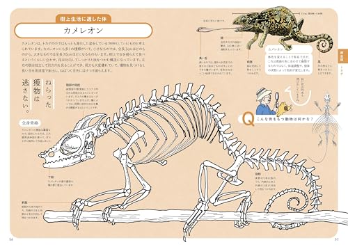 ぜんぶ絵でわかる9 すごい骨の動物図鑑 5