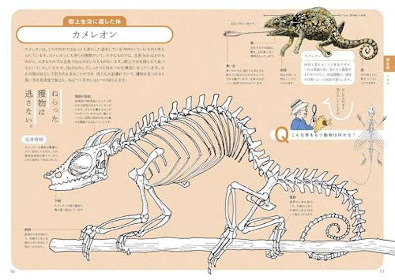 ぜんぶ絵でわかる9 すごい骨の動物図鑑 5