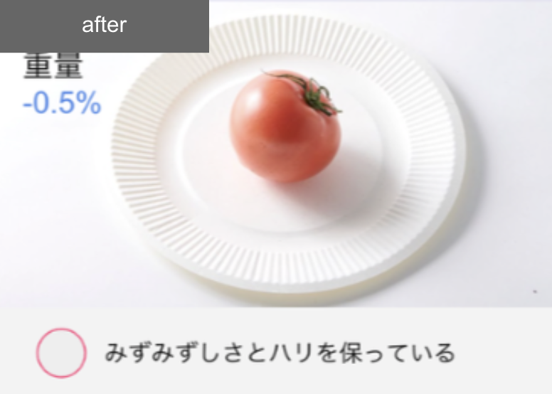 冷凍冷蔵庫  18