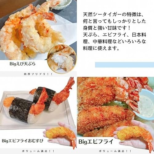 天然シータイガー 9