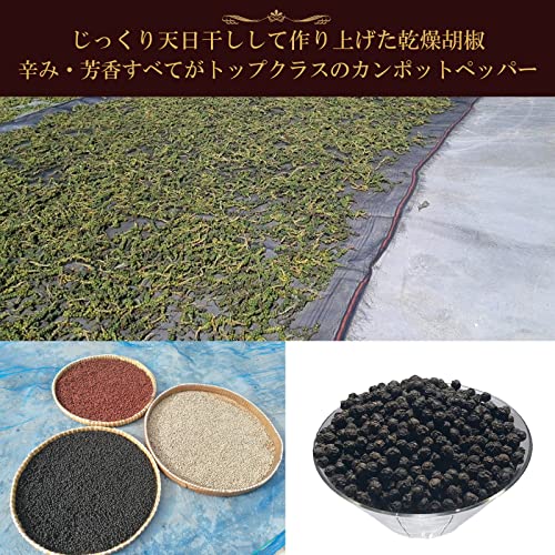 有機黒胡椒 黒の衝撃 6