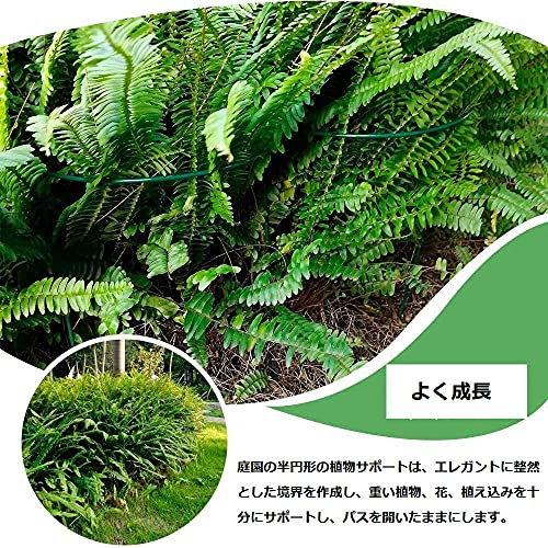 植物支柱 8点セット 6