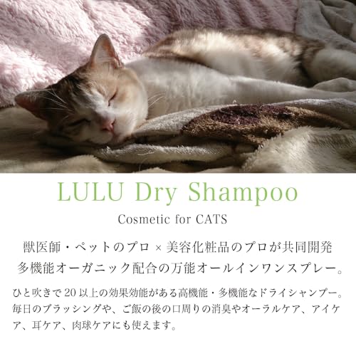 LALAドライシャンプー 3